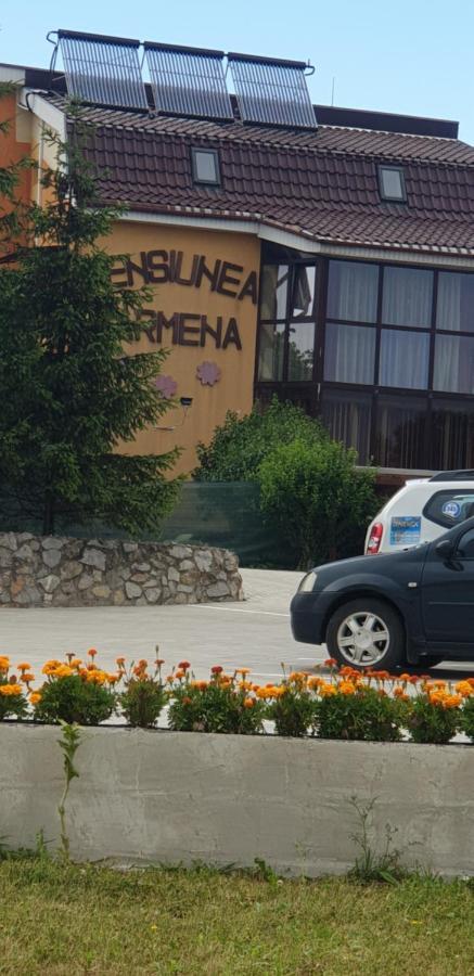 Pensiunea Carmena 바일레펠릭스 외부 사진